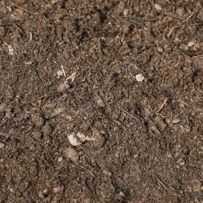 Master Blend Turf Mix